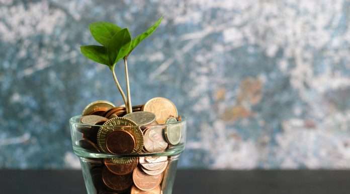 Trezy revolutionises SME financial management with $3m investment trezy-revolutionises-sme-financial-management-with-3m-investment