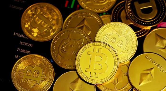Bitkub, Thai Crypto Exchange, clinches fresh $17.8m investment Bitkub, Thai Crypto Exchange, clinches fresh $17.8m investment