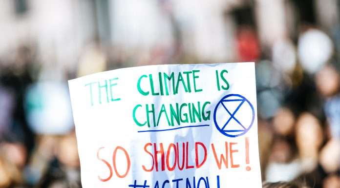 CBA backs climate change-focused Wollemi Capital with major funding