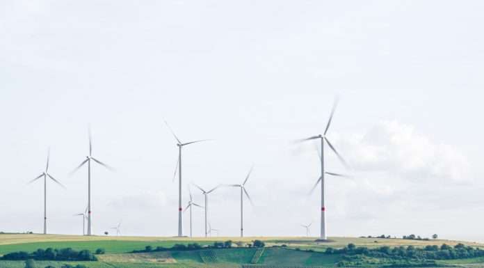 LSB shines light on SMEs' green finance challenges