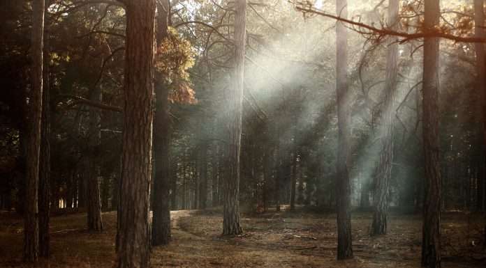 BuildESG revolutionises responsible lending with enhanced BuildRI software BuildESG