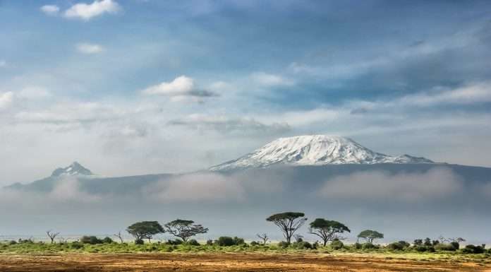 Kenyan FinTech Zanifu bags $11.2m for inventory financing expansion