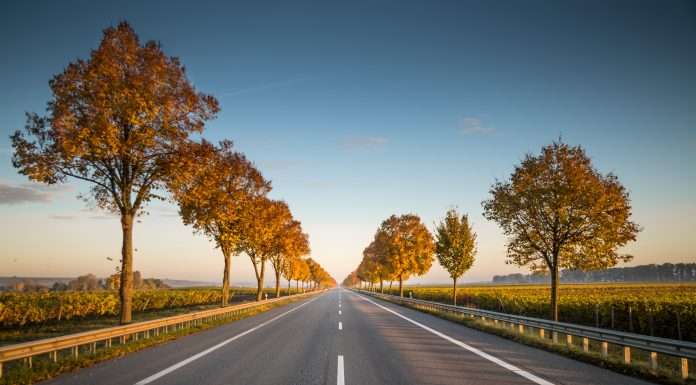Unlocking profitability The journey of loss control maturity and its pivotal stages