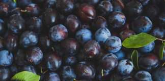 Plum teams up with BlackRock to unveil 'Plum Interest' in UK and EU markets