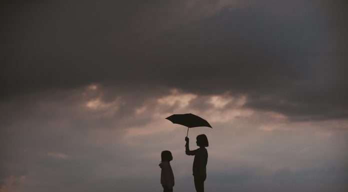 NFP introduces Totalis Program Underwriters NFP, a prominent insurance broker, has announced its newest venture, Totalis Program Underwriters, a distinguished brand tailored for its specialty programme sector.