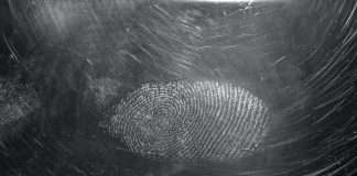 Fingerprint secures $33m in Series C, paving the way for advanced fraud detection