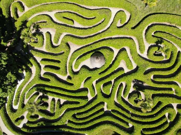 Navigating the green maze: How to excel in sustainability reporting