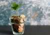 Chipper Cash bolsters alliance with Visa to promote financial inclusion in Africa