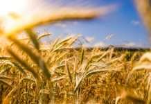 HeavyFinance secures €50m to revolutionise European agricultural lending