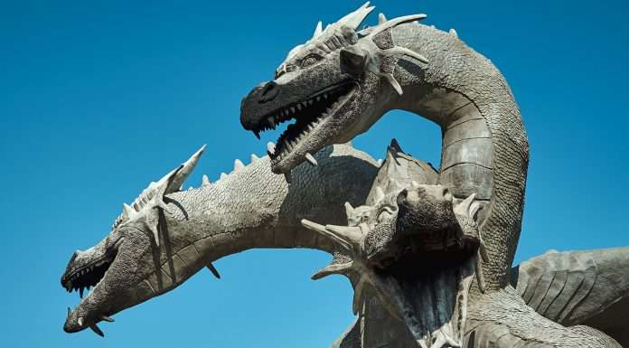 Dragon