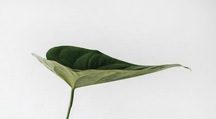 ISSB set to unveil guide aiming at unified global sustainability reporting ISSB
