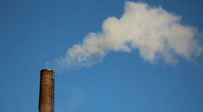 Climate Impact X secures notable S$30m funding led by Mizuho for carbon credit exchange expansion