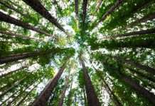 Why firms should be bolstering their ESG data collection
