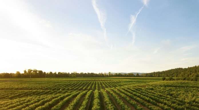 Traive, agricultural FinTech, clinches $20m for international expansion