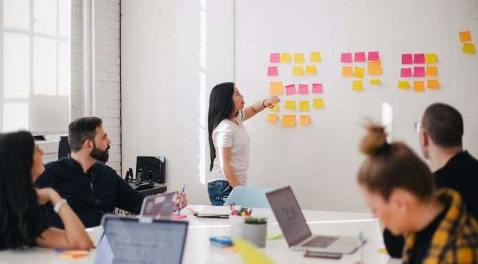 The future of profitability in investment management: Strategies and insights