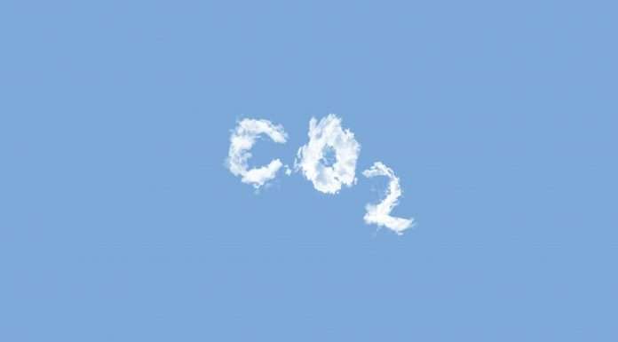 Rising demand for high-quality carbon credits fuels market growth to $3bn