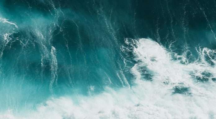 Tokio Marine Kiln, a leading specialty insurer, has announced the appointment of a new CEO to drive the firm's international growth ambitions.