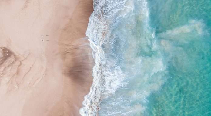 ShoreOne Insurance Company has announced the appointment of a new Chief Claims Officer, as the firm looks to drive efficiency.