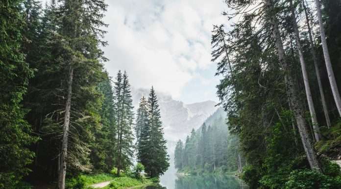 Persefoni AI unveils groundbreaking free Climate Management Platform