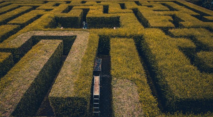 Navigating the maze of policy management in finance: A technological compass Navigating the maze of policy management in finance: A technological compass