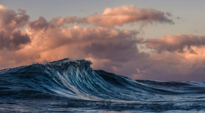 Insurwave, a London-based InsurTech platform, known for its expertise in assisting global businesses with complex insurance needs, has announced a new collaboration with UK-based insurance company Inigo.