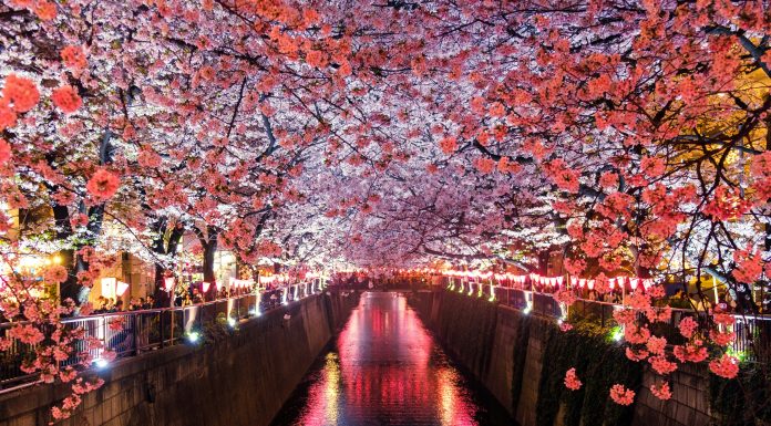 International InsurTech bolttech has solidified its presence in the Japanese market following the announcement of its partnership Back Market.