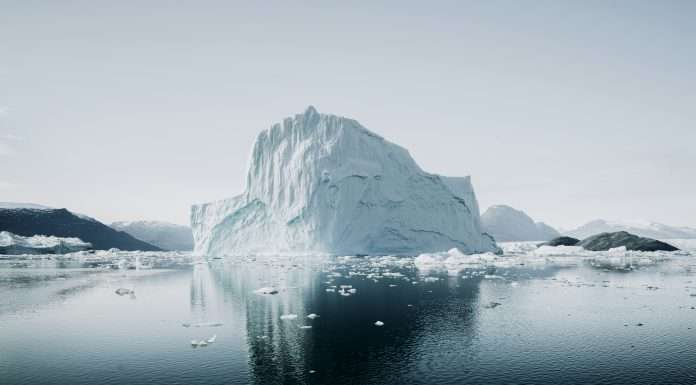 Iceberg Data Lab clinches $10m Series A for ESG data expansion, led by Beringea