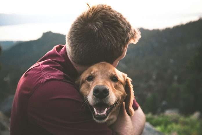 Chubb, a global insurance leader, announced a definitive agreement to acquire Healthy Paws, a US-based managing general agent (MGA) specialising in pet insurance, from Aon.