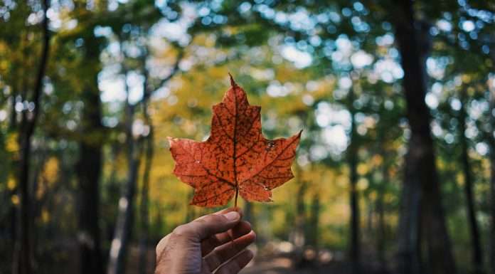 AXIS Canada appoints Ludwig Nagata to lead expansion AXIS Capital Holdings Limited has revealed plans to enhance its suite of specialty insurance solutions in North America with the introduction of a Canadian Environmental Impairment Liability (EIL) insurance unit.