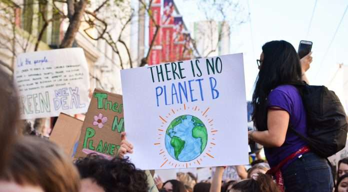 A new global report from Citi has revealed that 42% of its energy clients lack comprehensive climate transition plans.