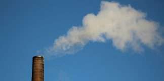 BeZero Carbon expands carbon project ratings access via Bloomberg Terminal