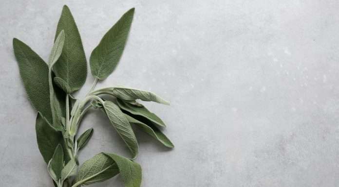 SageSure, a managing general underwriters focused on catastrophe-exposed markets, has launched its first Expanded Markets surplus lines dwelling fire product in Louisiana, New Jersey, South Carolina, and Texas.