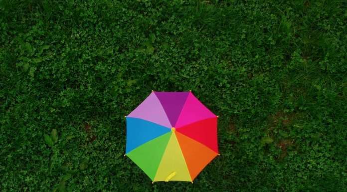 JAB Holding Company is set to establish a global insurance platform and initiate an asset management company, with Anant Bhalla taking the helm as Senior Partner and Chief Investment Officer.