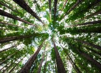 How Generative AI transforms ESG data into sustainable investment success