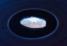 Fingerprints and WiBioCard forge smart card technology partnership for enhanced security