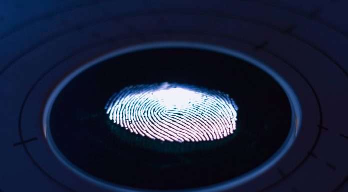 Fingerprints and WiBioCard forge smart card technology partnership for enhanced security