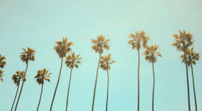 Emerald Bay and Lightspeed unveil partnership to provide comprehensive insurance coverage in California