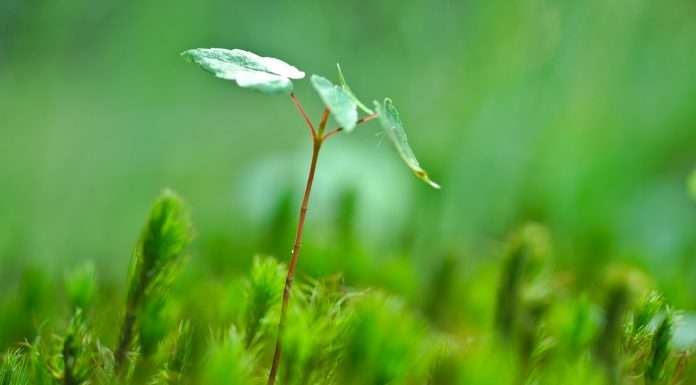 Is the ESG FinTech sector growing fast enough?