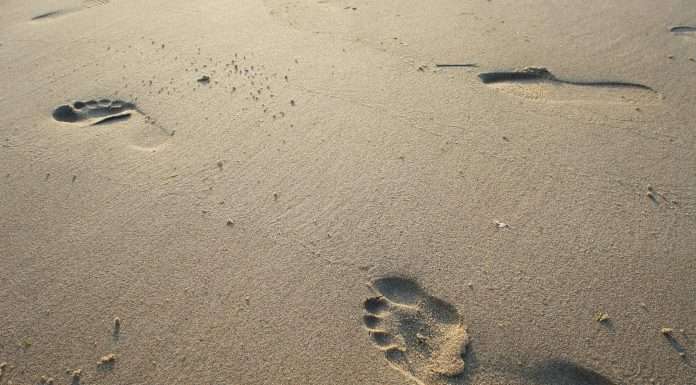 Everest, a global leader in insurance and reinsurance, has announced the appointments of two key leaders in its international insurance operations, as it looks to expand its European footprint.