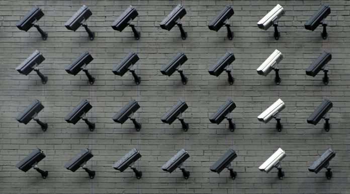 Cognyte receives $10m order, reinforcing its role in combating global security threats