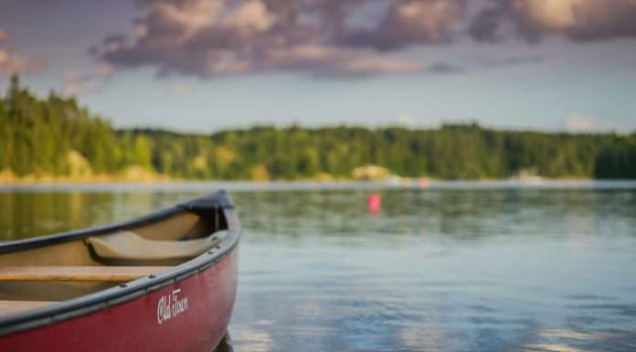 Canoe Intelligence secures $36m in Series C funding led by Goldman Sachs for AI expansion