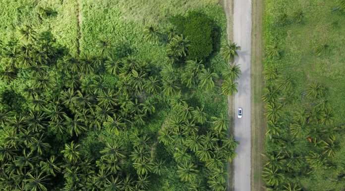 Fidelity International unveils new sustainable investing framework Fidelity