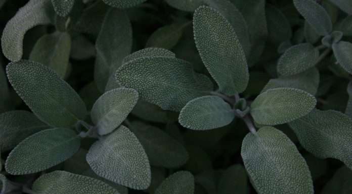 Managing general underwriter SageSure closes $60m Gateway Re catastrophe bond SageSure, a leading managing general underwriter specialising in catastrophe-exposed markets, has successfully closed the Gateway Re 2024-4 county-weighted wind cover catastrophe bond at $60m.