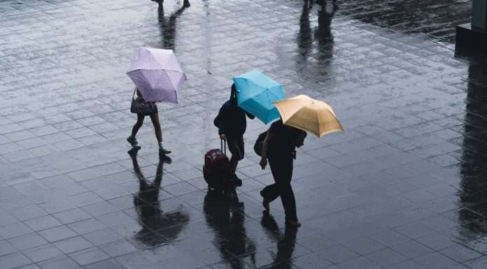 Brokerslink, a global broking company, has announced the launch of a dedicated Trade Credit Insurance (TCI) practice.