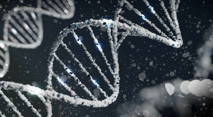 One80 Intermediaries, a specialty insurance broker headquartered in Boston, has launched GeneBridge in response to the escalating costs associated with gene therapy treatments.