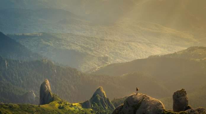 Natcap raises $10m to enhance nature-related risk management for businesses Natural Capital Research (Natcap), a nature and biodiversity intelligence company, has raised $10m in a Series A funding round.