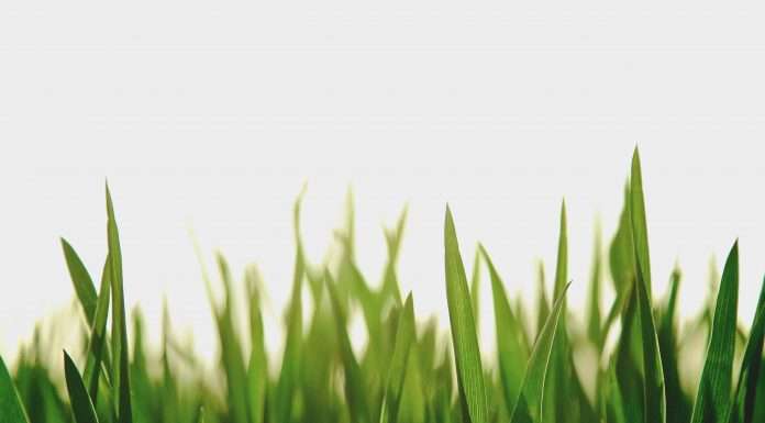 As the spotlight on Environmental, Social, and Governance (ESG) issues intensifies, insurance companies are faced with the complex task of aligning their strategies with the broader ESG landscape. As new research from Solera surfaces suggesting that customers are increasingly seeking proof of ESG commitment, FinTech Global examines how these ESG considerations are affecting insurers.