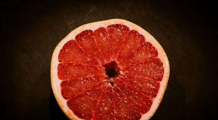 ZestyAI, the leading provider of climate and property risk analytics solutions, has unveiled its newest solution, designed to address the increasing frequency and severity of non-weather water and freeze claims.