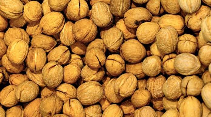 Walnut, an innovative company in the insurance distribution sector, has successfully closed a $4.6m funding round.