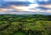 Microsoft has unveiled a significant expansion of its sustainability solutions, aimed at addressing the complexities of Environmental, Social, and Governance (ESG) disclosure reporting.